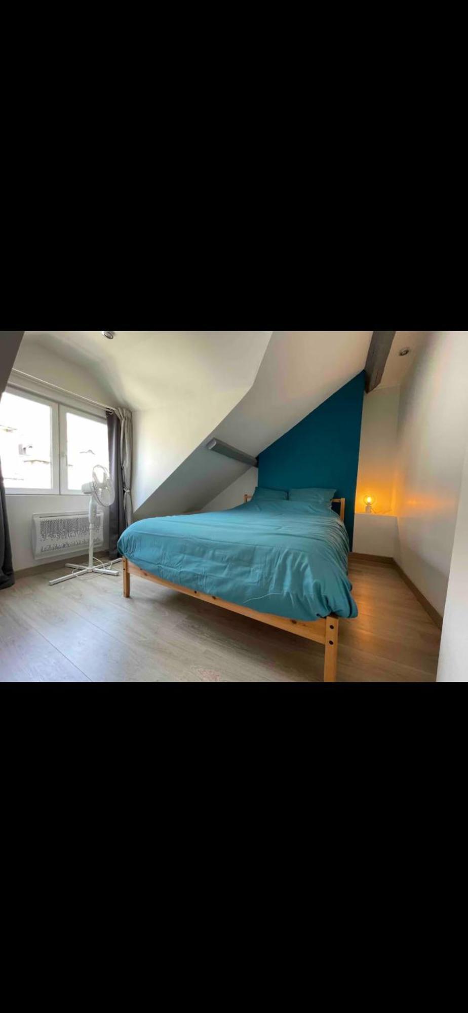 Glycine Appartement Orléans Buitenkant foto